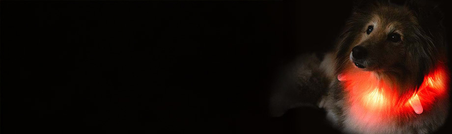 Hundezubehör für mehr Sicherheit und Sichtbarkeit